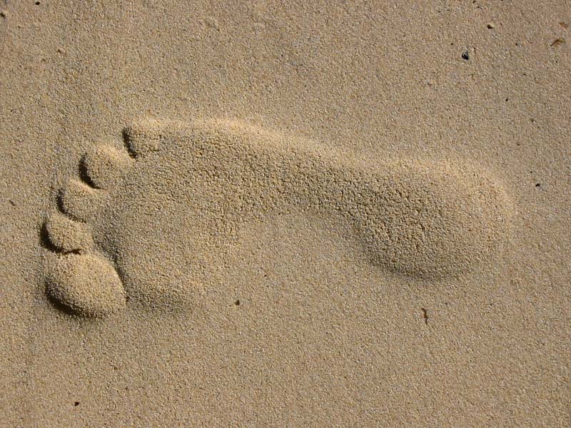 Creating your personal footprint…