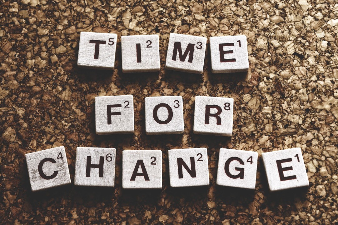 Independent consultancy or permanent job again?